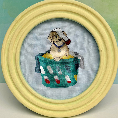 Laundry Assistant