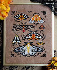 Ochre Wings