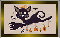 Broom Black Cat