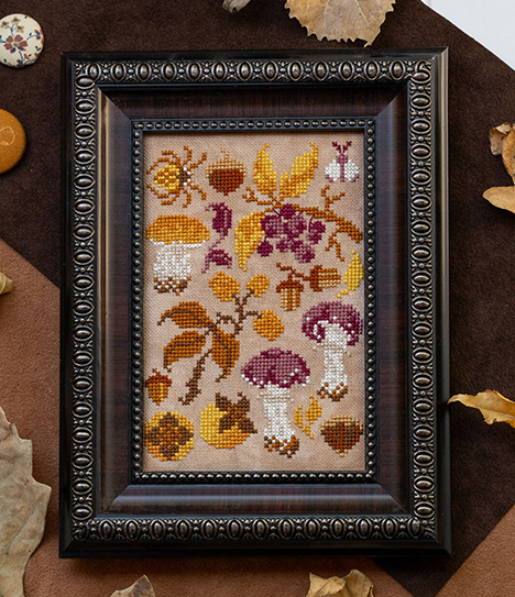 Foraging Nature Walk