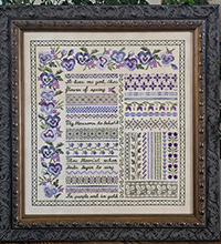 Pansy Garden Sampler