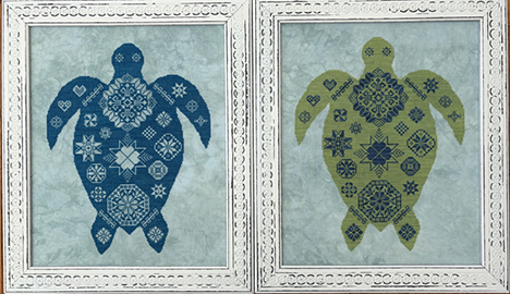 Quaker Sea Turtle