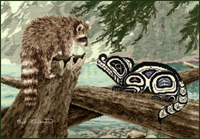 Raccoons