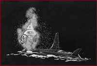 Spirit of the Orca