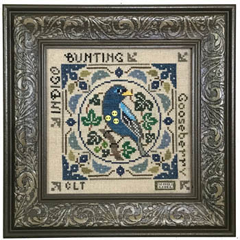 Birds & Berries - Indigo Bunting