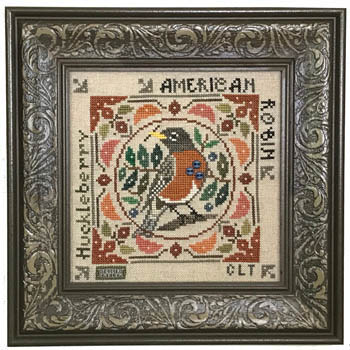 Birds & Berries - American Robin