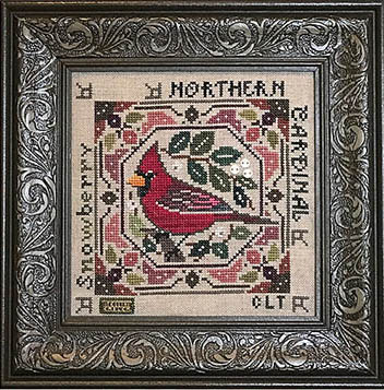 Birds & Berries - Northern Cardinal