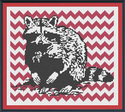 Raccoon with Chevron