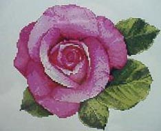 Camilla's Rose