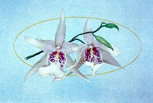 1-2-3 Orchid