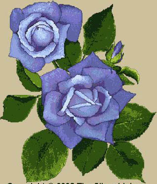 Blue France Rose                 