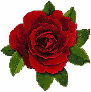 Bed of Roses - Splendor