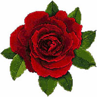 Bed of Roses - Splendor