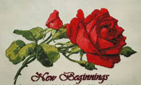 New Beginnings