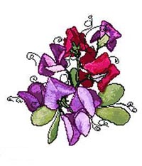 Sweet Peas