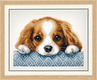 Puppy Kit