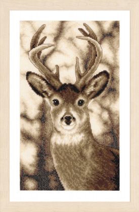 Deer Kit