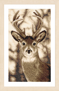 Deer Kit