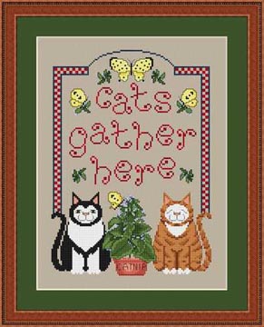 Cats Gather Here