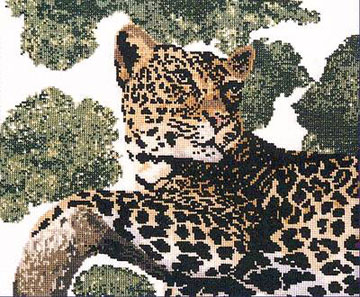 Lazy Leopard