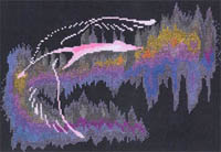 Northern Lights