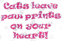 Paw Prints
