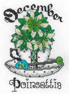 Teacup Birth Flower - December