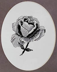 Black Rose