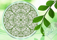 Spring Circle