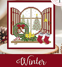 Through The Window Winter