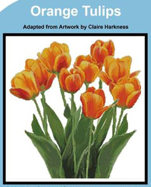 Orange Tulips