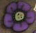 cb1005 Violet Wildflower - Just Another Button Co