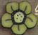 cb1013 Daffodil Wildflower - Just Another Button Co