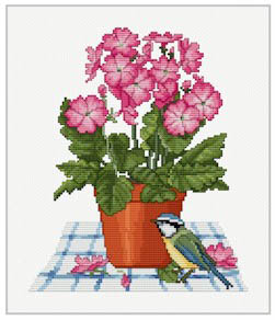 Primrose Pot