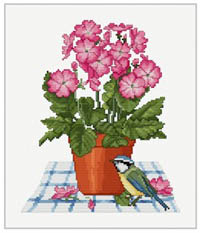 Primrose Pot