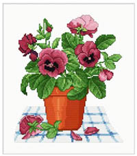 Pansy Pot