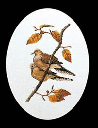 Turtle Doves Kit