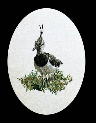 Peewit Kit