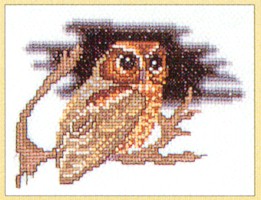 Owl Kit