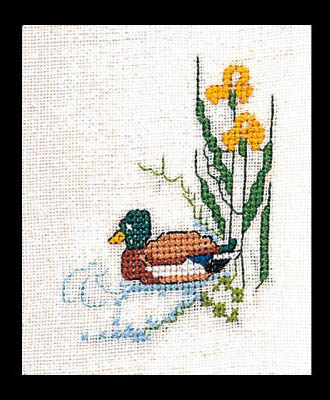 Mallard Duck Kit