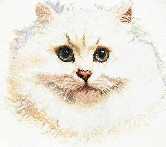 White Persian Cat Kit