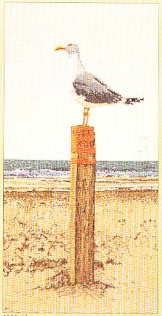 Seagull Lookout Kit