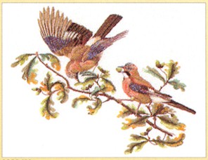 Birds On A Branch Kit