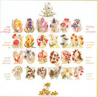 Floral Alphabet Sampler Kit