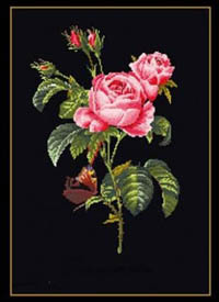Roses Kit