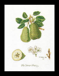 Pears Kit