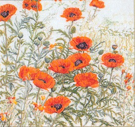 Orange Poppies Kit