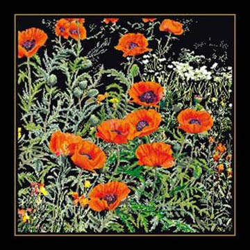 Orange Poppies Kit