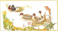 Ducks In The Marsh Kit