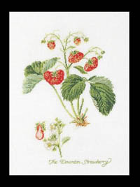Strawberry Kit